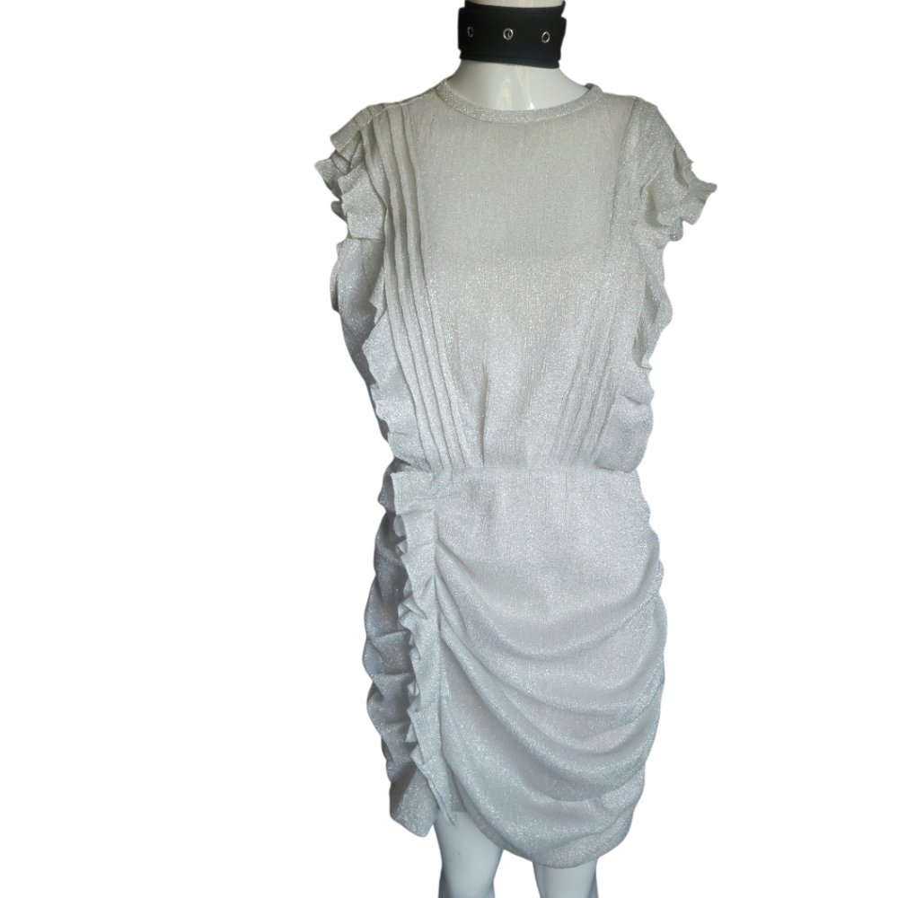 Chic Silver Ruffled Mini Dress - Picture 13 of 13